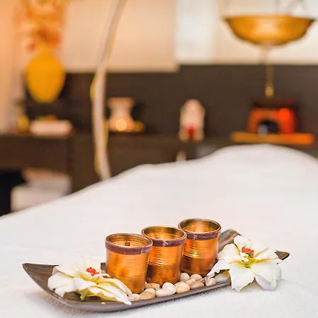 Yastrebets Wellness & Hotel Borowec