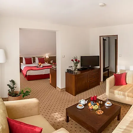 Hotel Yastrebets Wellness & 4*