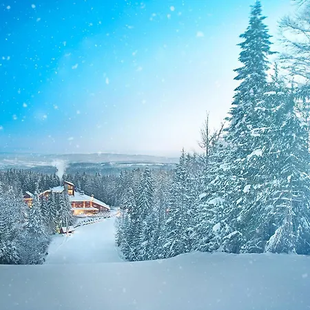 Yastrebets Wellness & Hotel