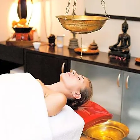Yastrebets Wellness & מלון 4*