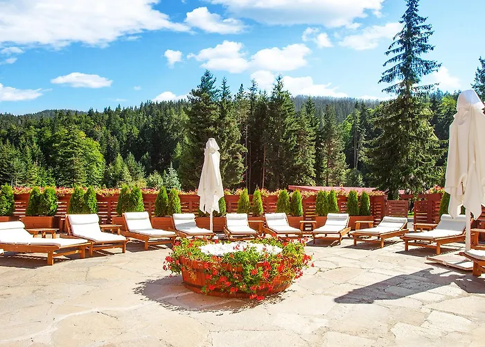 Yastrebets Wellness &